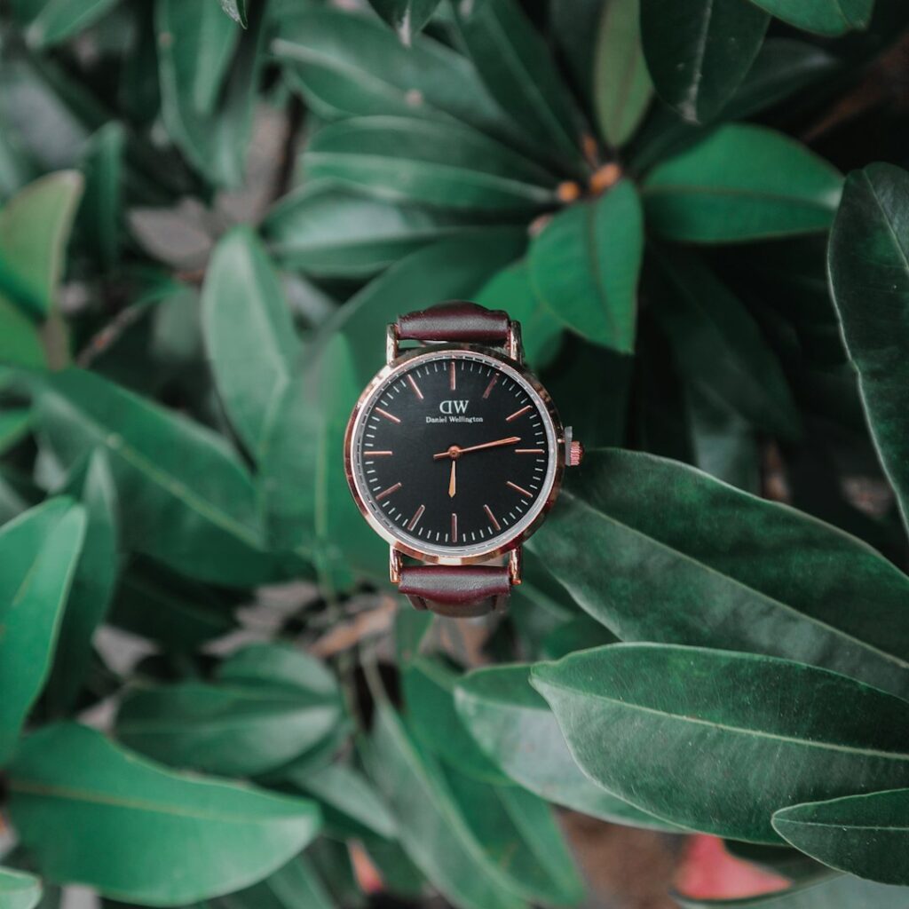 Crown Automatic Watch